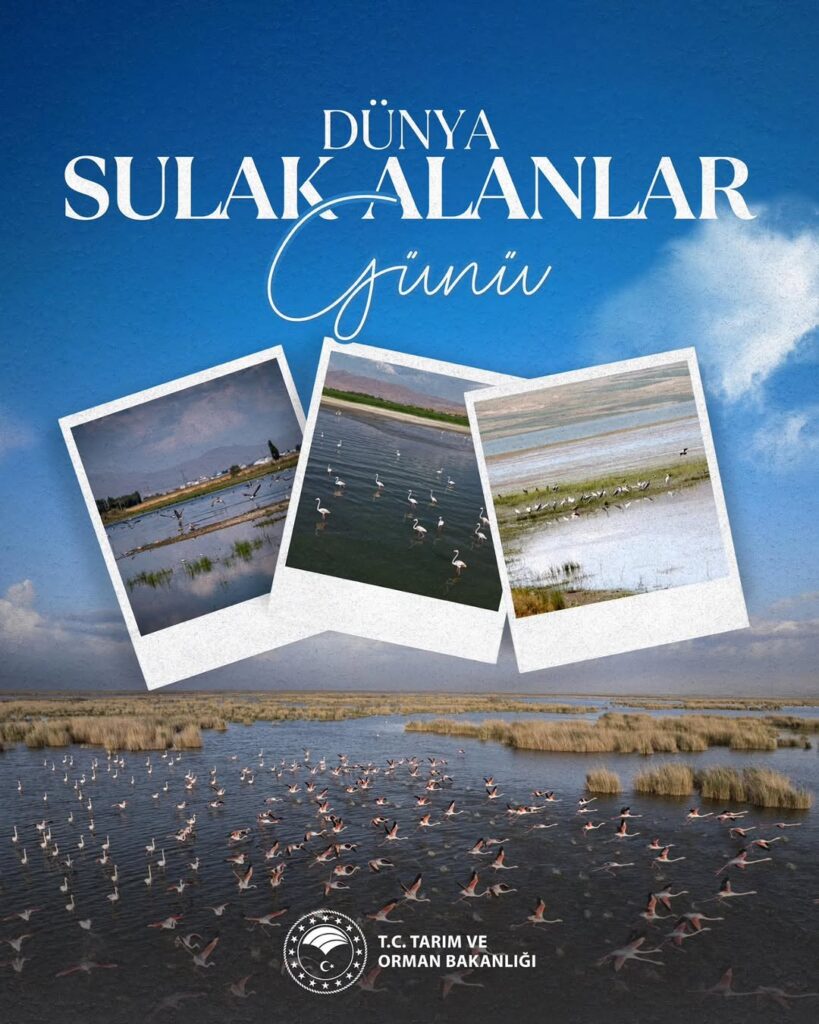 Dünya Sulak Alanlar Günü: Sulak Alanların Önemi ve Korunması