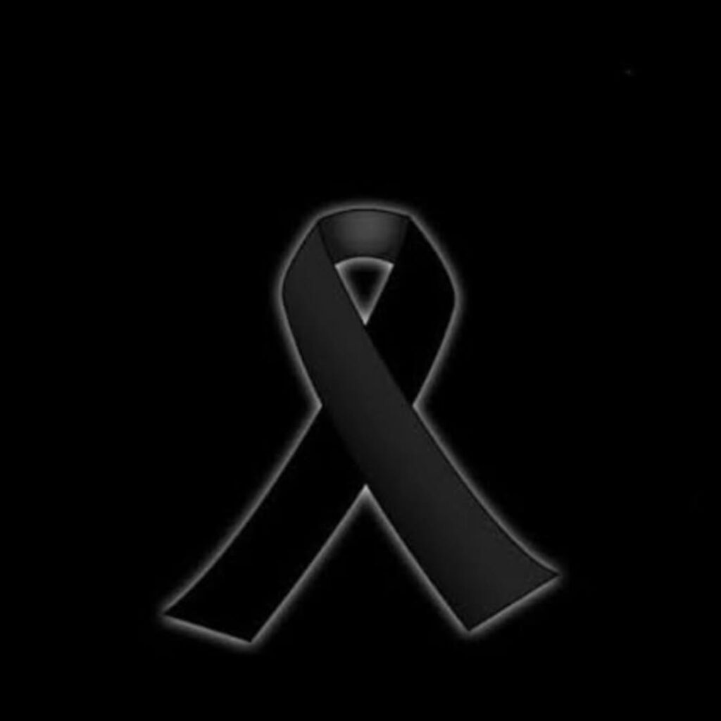 Balıkesir’de F-16 Uçağının Düşmesi Sonucu Bir Pilot Şehit Oldu