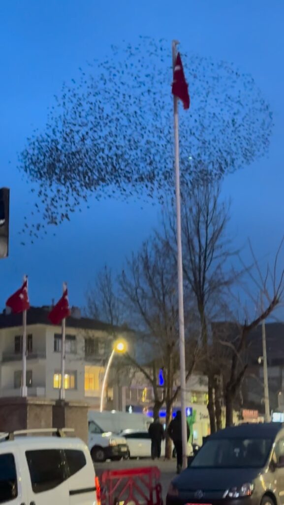 Emirdağ’da Bayramlaşma Etkinliği Ay Yıldızlı Bayrağımızla Kutlandı