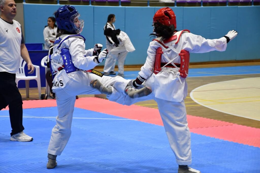 Afyonkarahisar Gençlik ve Spor İl Müdürlüğü’nden Okul Sporları Yıldızlar Taekwondo Müsabakaları Haberi
