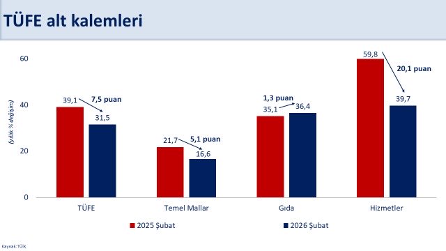 Şubat Aylık Enflasyon Raporu