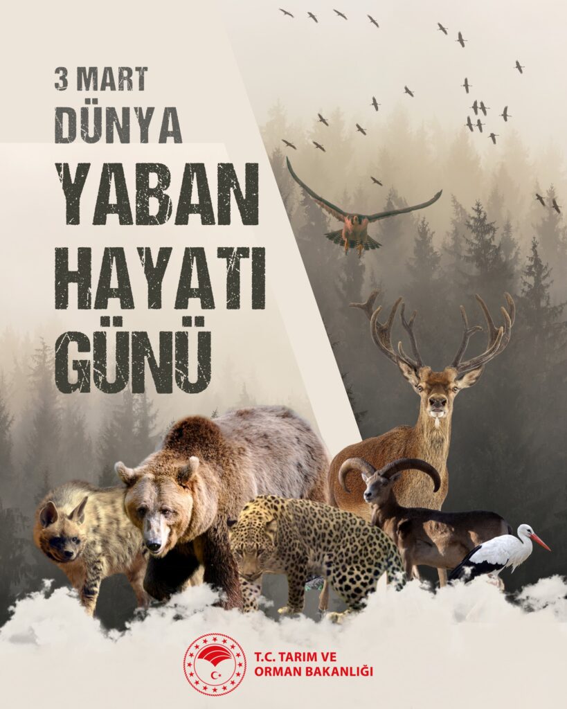 Yaban Hayatı Koruma Çalışmaları