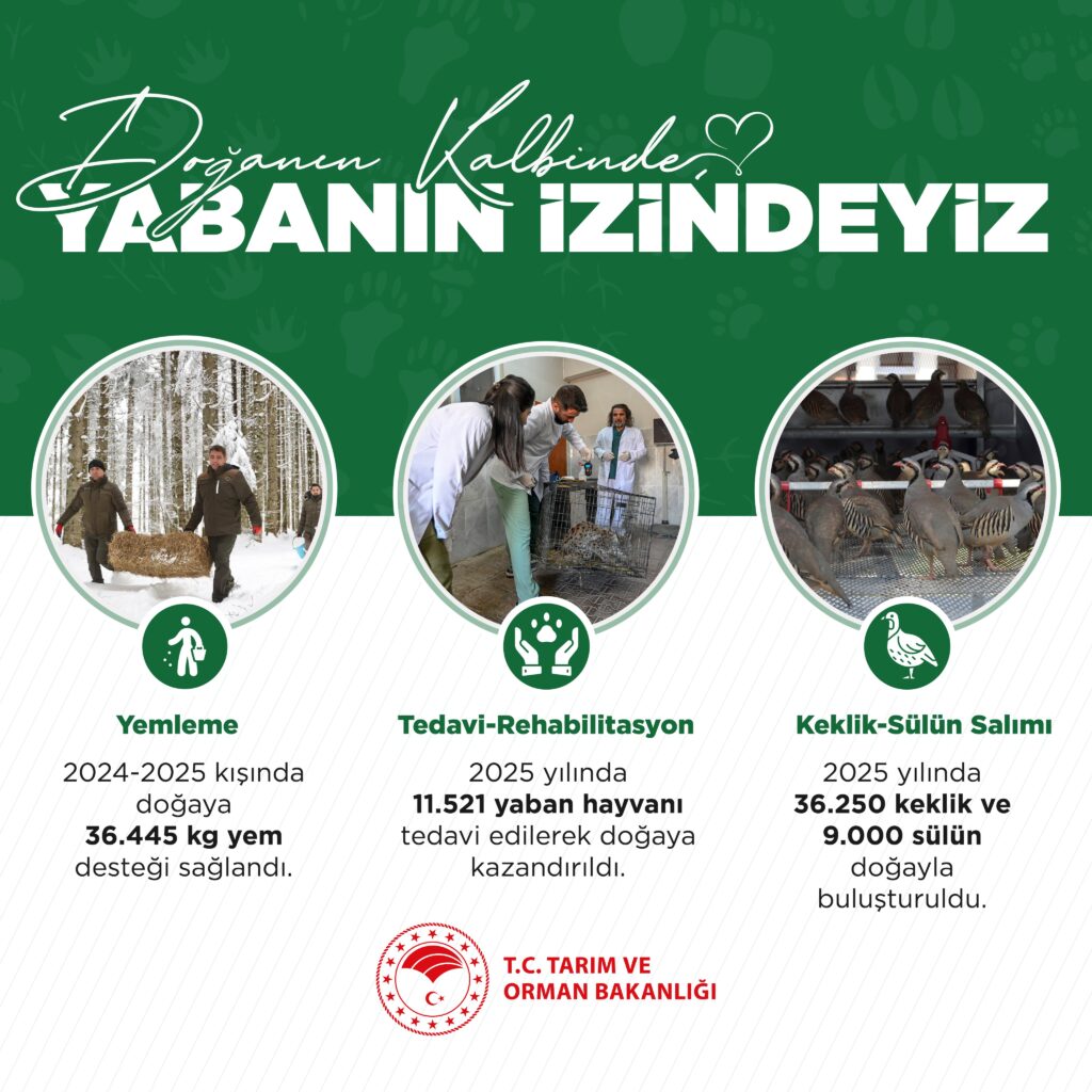 Yaban Hayatı Koruma Çabaları