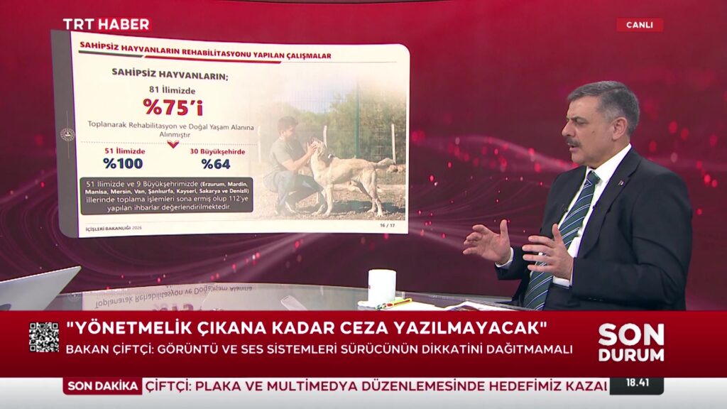 İçişleri Bakanlığı: 51 İlde Sahipsiz Sokak Hayvanlarının Yüzde 75’i Toplandı