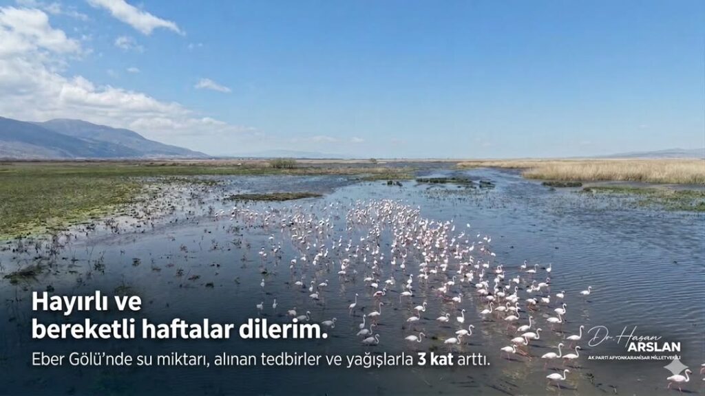 Ak Parti Milletvekili Hasan Arslan’dan İlginç Paylaşım: ‘Yeni Güne ve Yeni Haftaya Bismillah’
