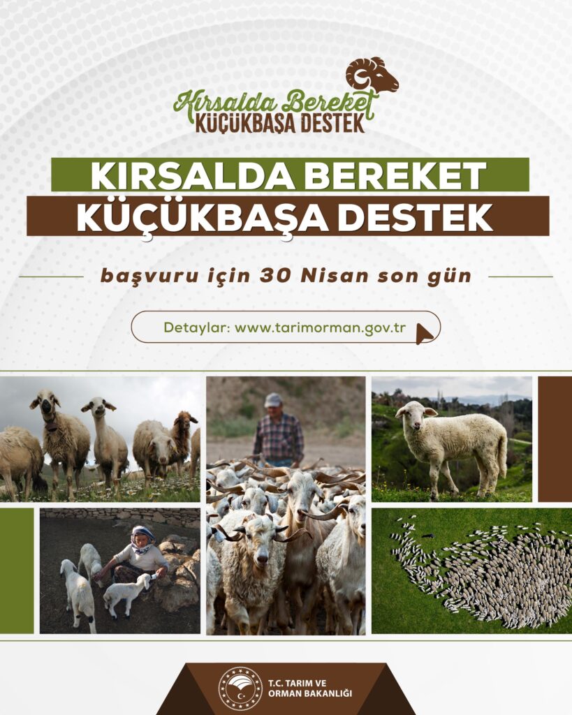 Kırsalda Bereket Projesi için son başvuru günü