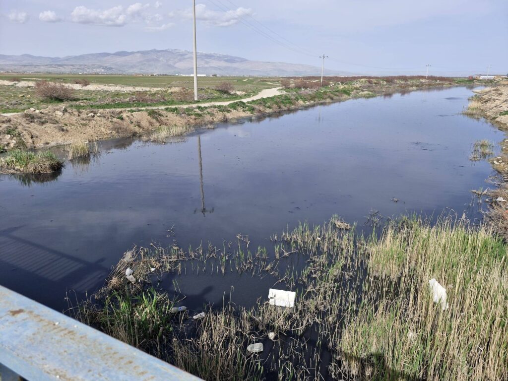 Eber Gölü İçin Hazırlanan Uluslararası Proje AB Tarafından Reddedildi
