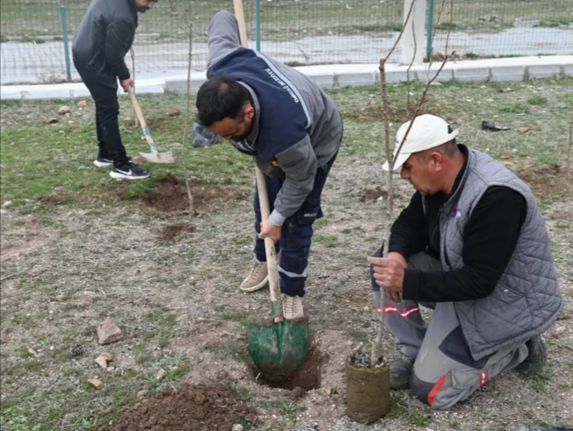 EMİRDAĞ’IN MEYVE PARKLARI