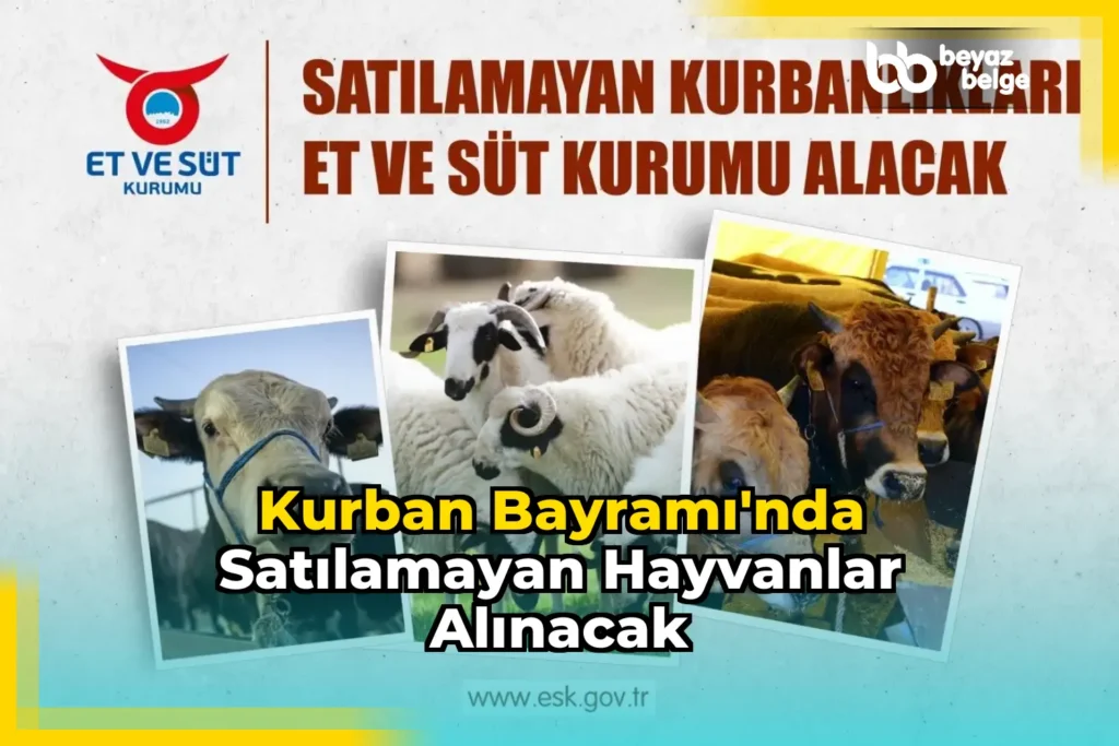 Kurban Bayramı’nda satılamayan hayvanlar alınacak