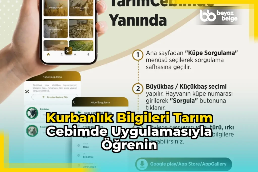 Kurbanlık bilgileri Tarım Cebimde uygulamasıyla öğrenin