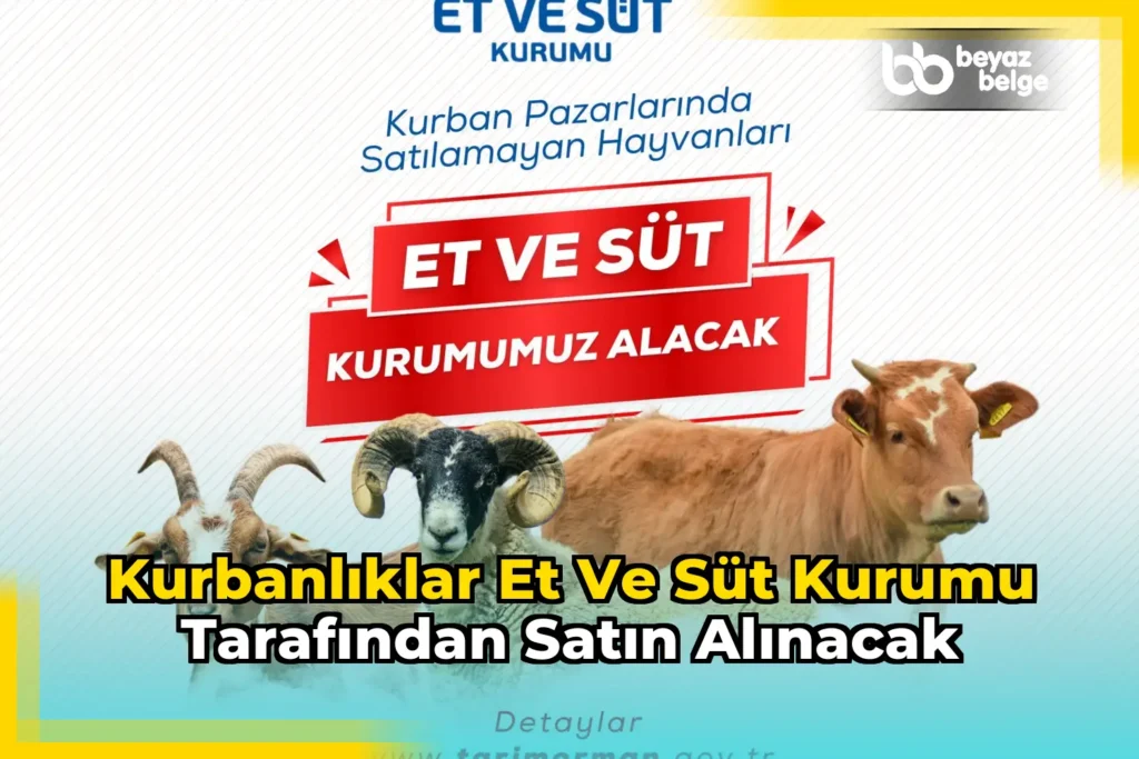 Kurbanlıklar Et ve Süt Kurumu tarafından satın alınacak