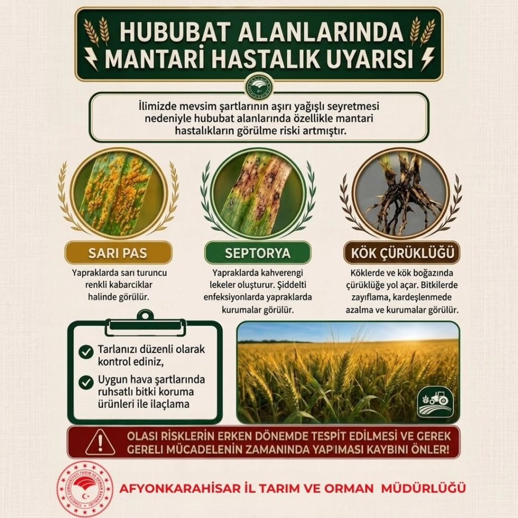 Afyonkarahisar İl Tarım ve Orman Müdürlüğü’nden Hububat Alanlarında Mantar Hastalık Uyarısı