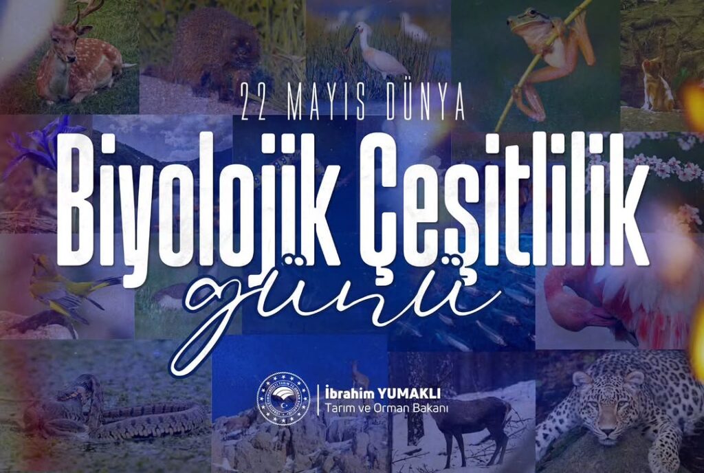 Anadolu’nun Biyolojik Çeşitliliği: Doğanın Eşsiz Dengesi
