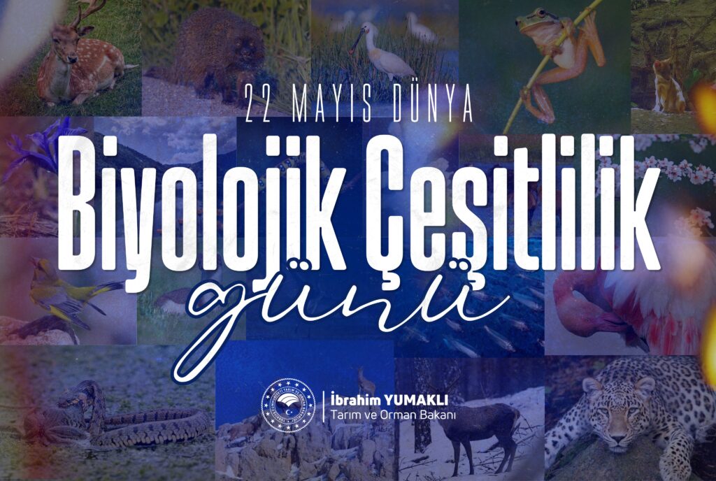 Dünya Biyolojik Çeşitlilik Günü’nde Anadolu’nun Zenginliği