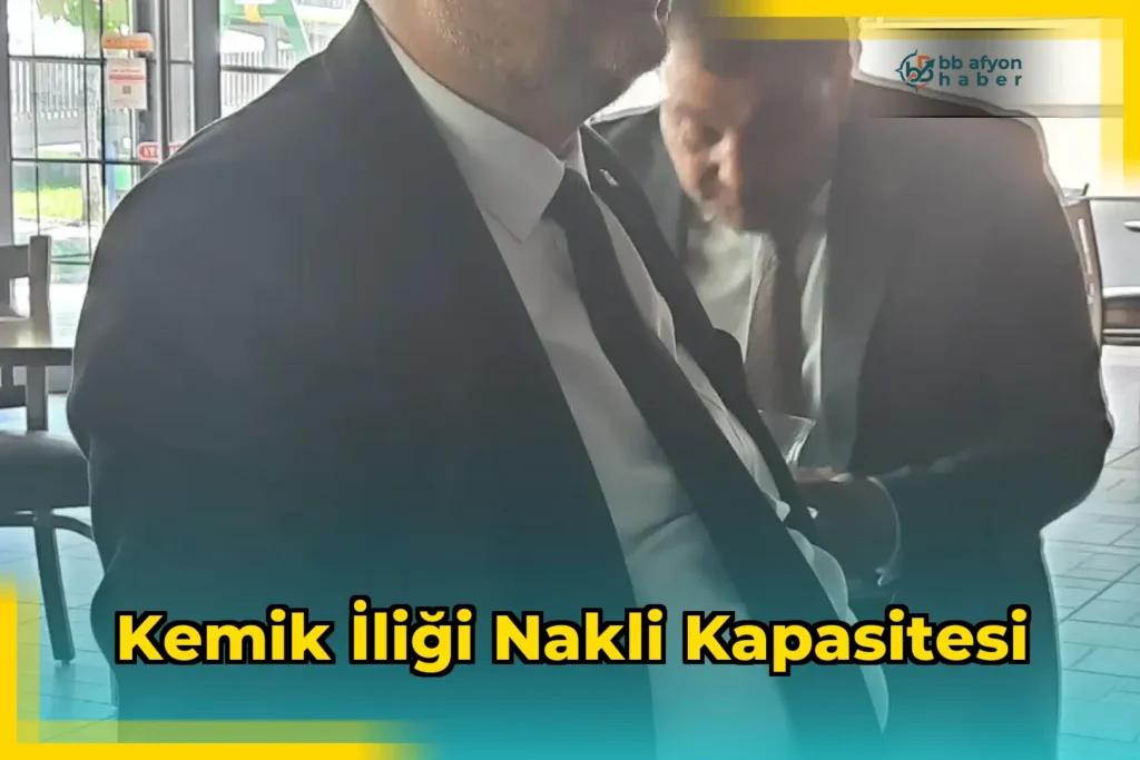 Kemik İliği Nakli Kapasitesi
