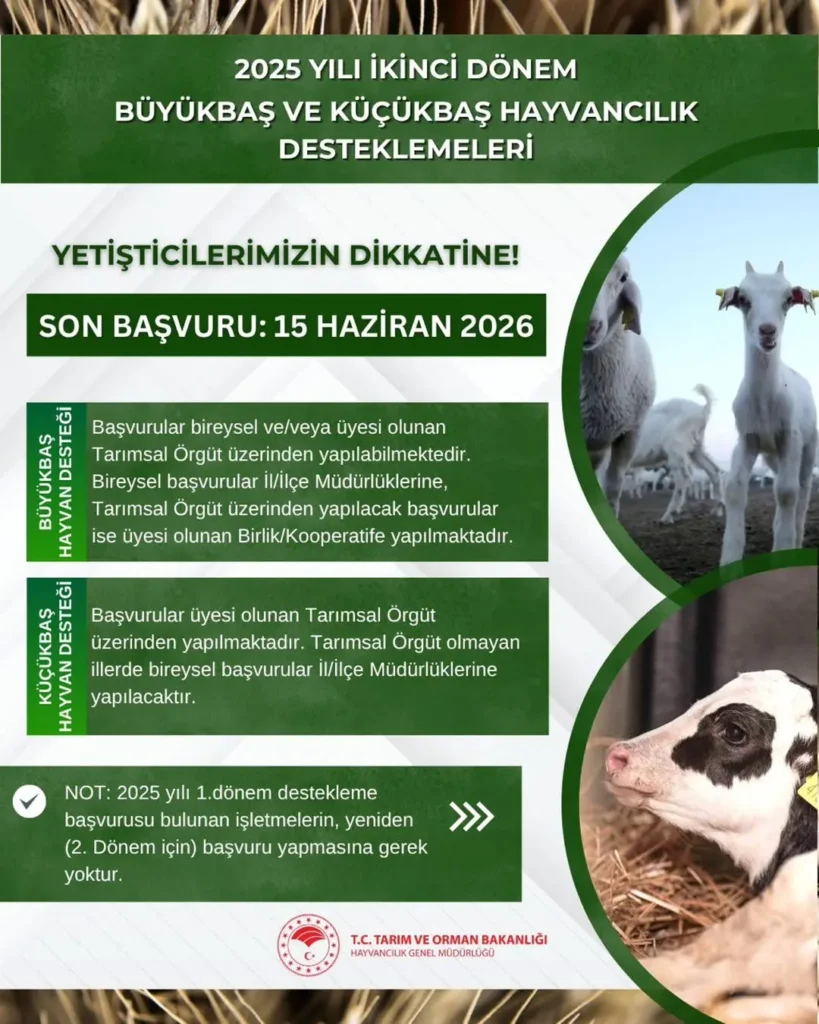 2025 Hayvancılık Desteklemelerinde İkinci Dönem Başvuruları Hakkında Bilgilendirme