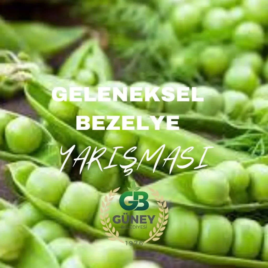 Afyonkarahisar Güney Belediyesi Bezelye Yarışması Düzenliyor