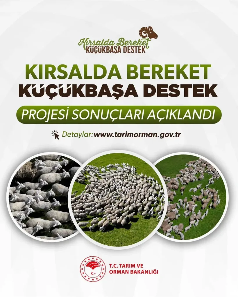 Kırsalda Bereket Küçükbaşa Destek Projesi Sonuçları Açıklandı