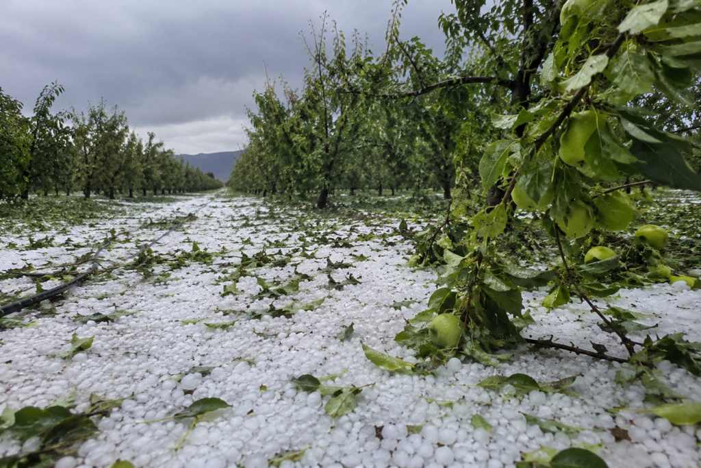 Meteoroloji Uyarmıştı: Afyonkarahisar’da Dolu ve Sağanak Tarımı Vurdu