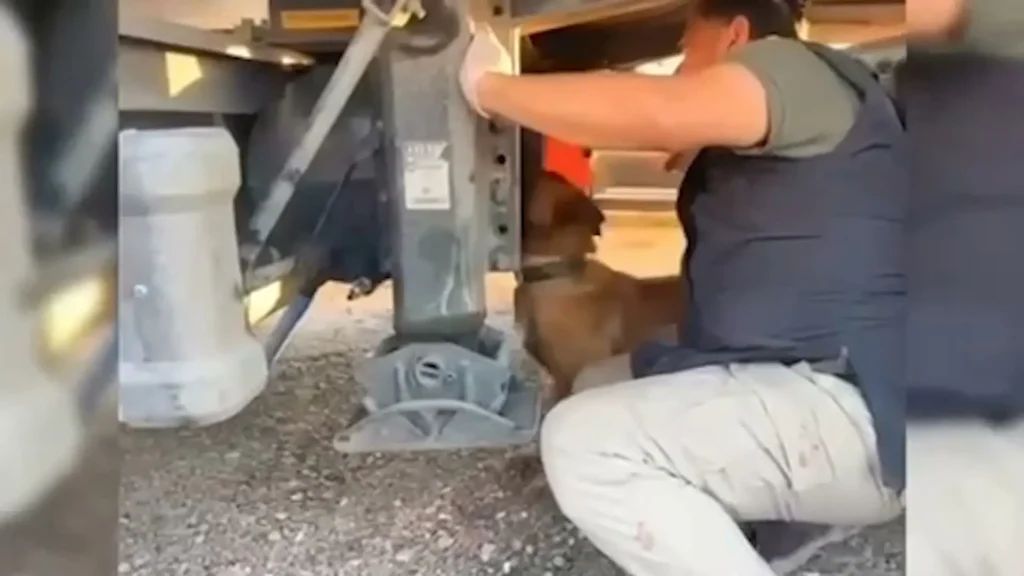 71 İlde Uyuşturucu Operasyonları: 843,5 kg Madde Ele Geçirildi!