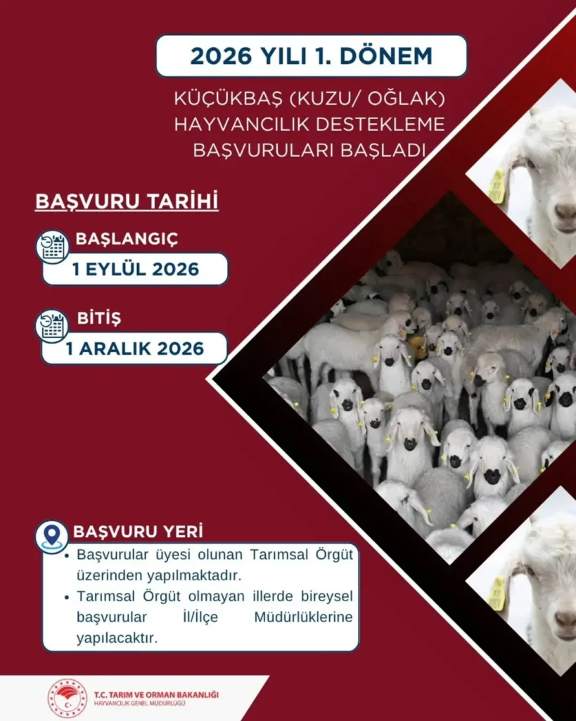 2026 Yılı 1. Dönem Küçükbaş Hayvancılık Destekleme Başvuruları Başladı