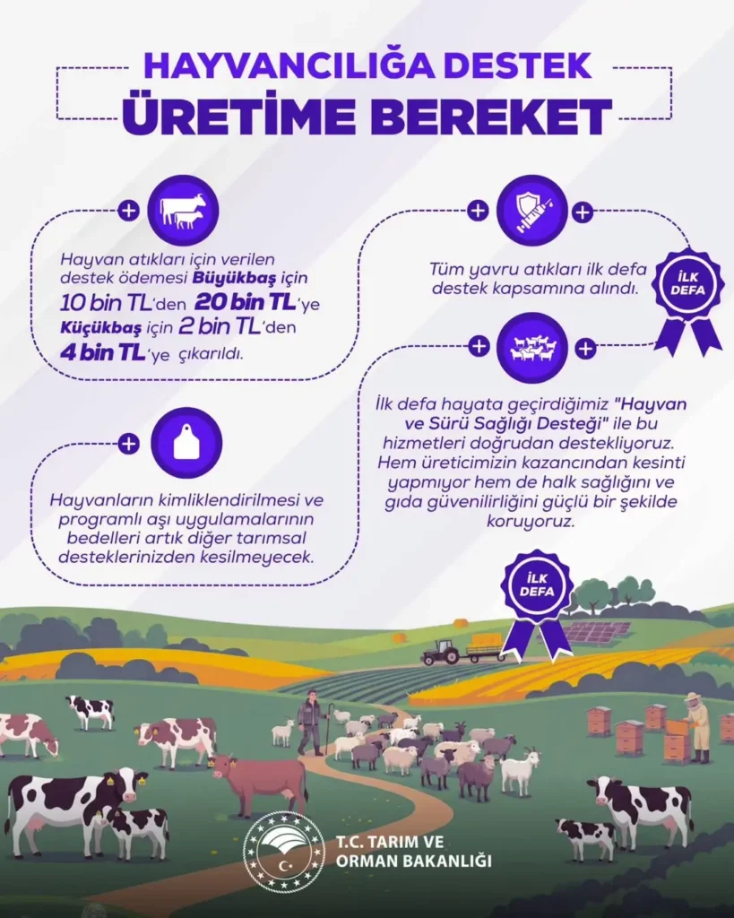 Hayvancılıkta Yeni Dönem: Hayvan ve Sürü Sağlığı Desteği İlk Kez Uygulanacak