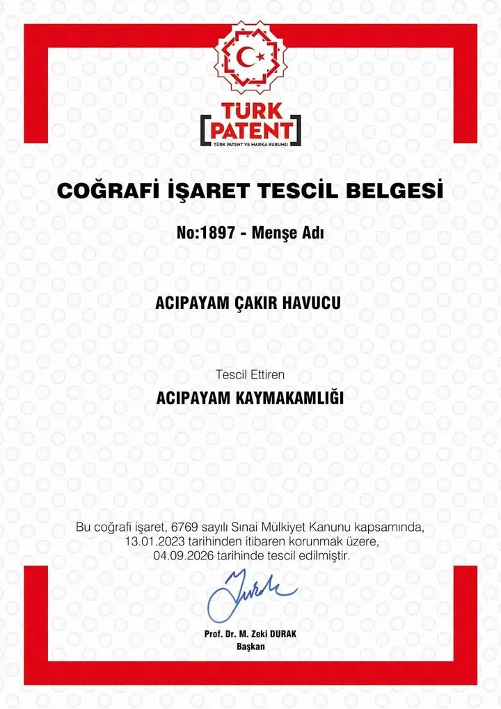 Acıpayam Çakır Havuçu Coğrafi İşaret Aldı