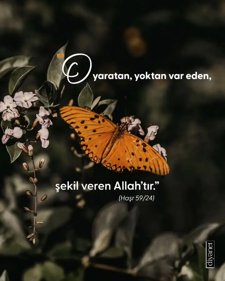 Çavdarhisar İlçe Müftülüğü’nden anlamlı paylaşım