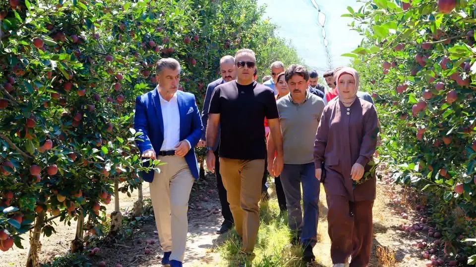 Karaman’da Elma Hasadı Töreni Düzenlendi