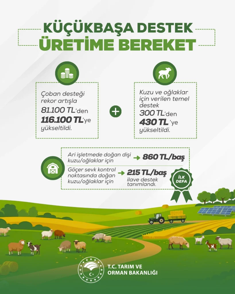 Küçükbaş hayvancılığa desteklerde rekor artış