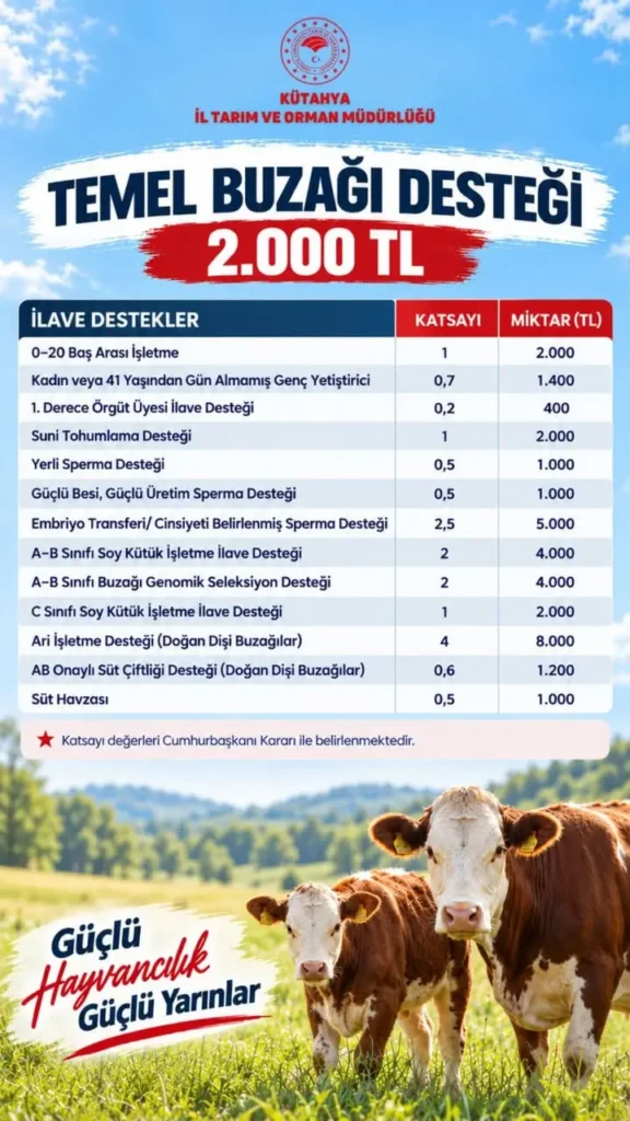 Kütahya’da Buzağı Desteği 2.000 TL Olacak