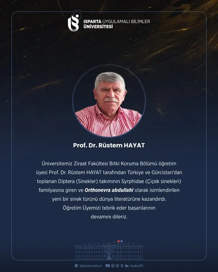 Yeni sinek türü bilim literatürüne kazandırıldı